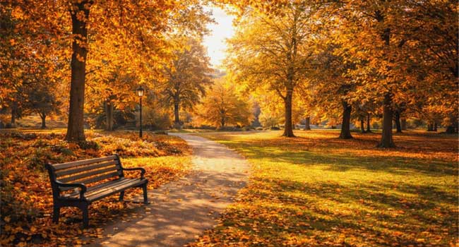 Quiet alley in the park at sunset
