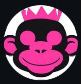 The Monkey Triumph – Art Gallery in Thirsk