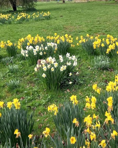 Norby Park – Public Park in Thirsk