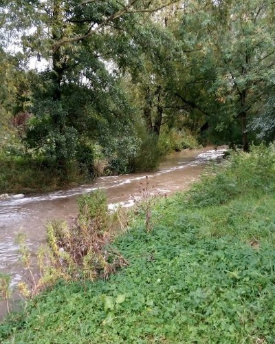 Norby Park – Public Park in Thirsk