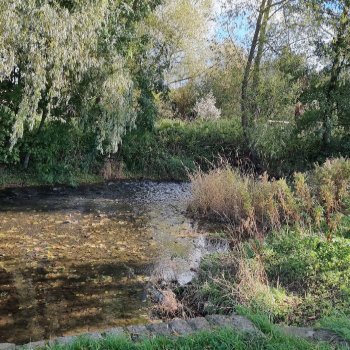 Norby Park – Public Park in Thirsk