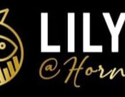 Lily’s Fish and Chips in Hornsea