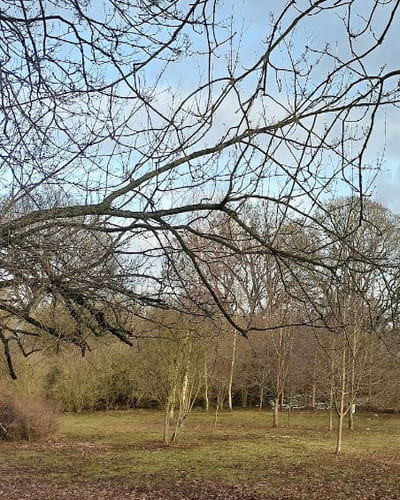 Castle Gardens Park in Malton