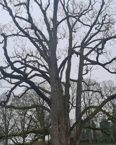 Castle Gardens Park in Malton