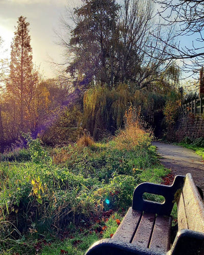 Mill Pond Park in Norton