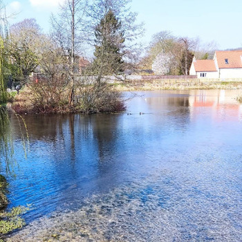 Mill Pond Park in Norton