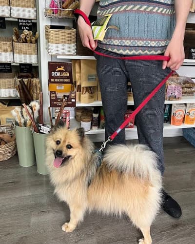 Moose&Me Natural Pet Shop in Thirsk